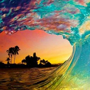 Meet your Posher, Kari